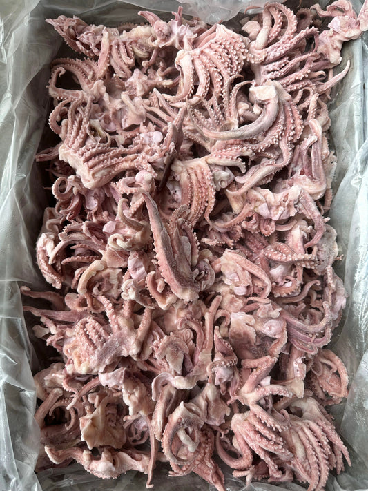 Frozen Baby Squid Tentacle