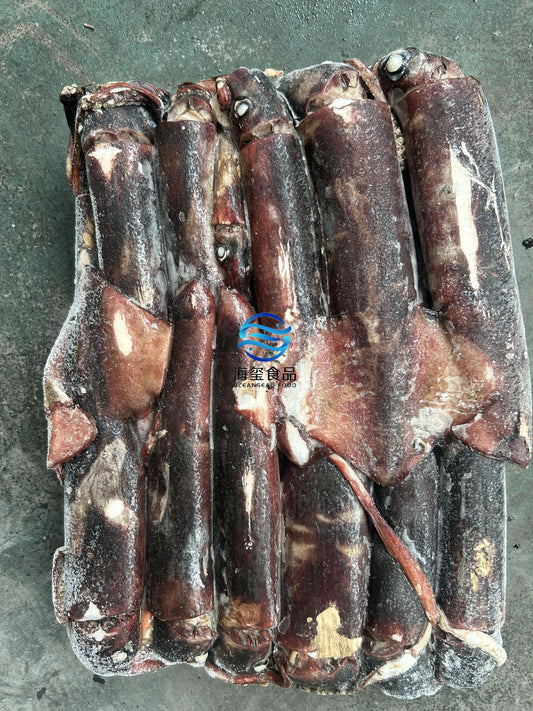 Sea Frozen Indian Squid 300/500