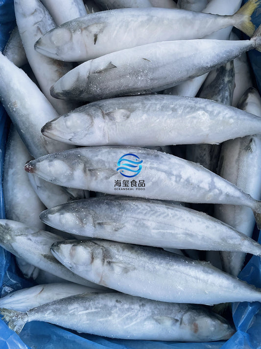 Frozen Pacific Mackerel 40-50