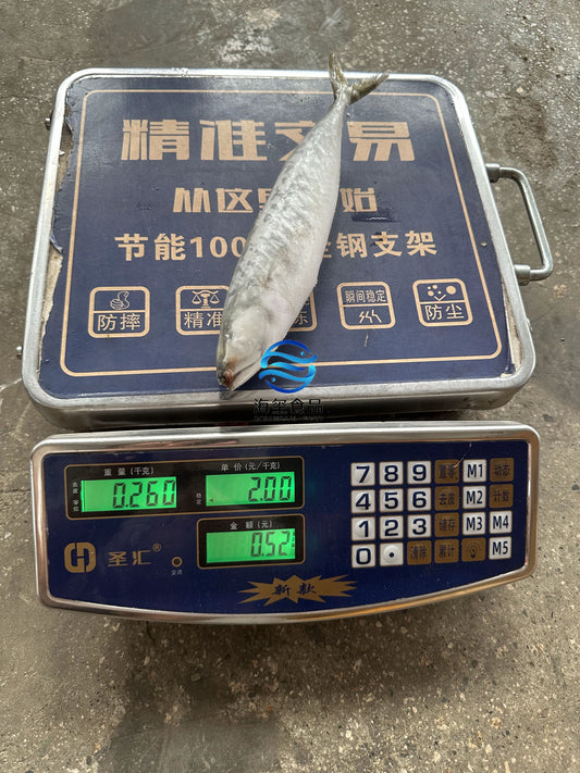 Frozen Pacific Mackerel 200/300g