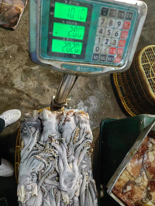 Frozen Indian Squid Head 500+g