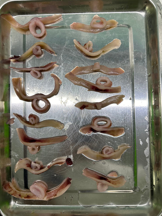 Frozen Wing Ring