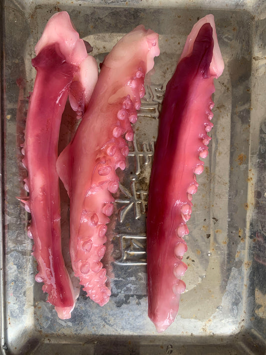 Frozen Squid Tentacle