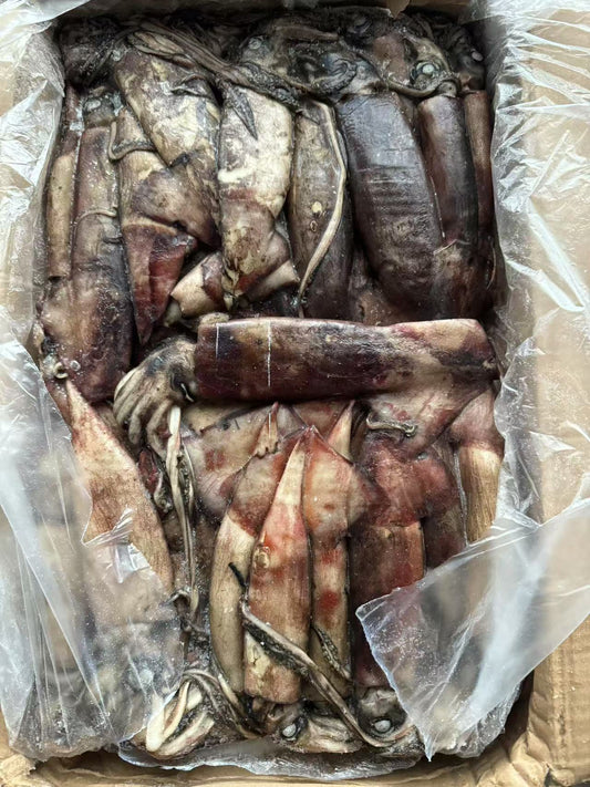 Frozen Indian Squid 100/300g