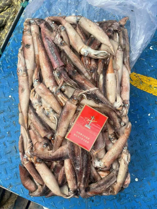 Frozen Squid Whole 40-80g