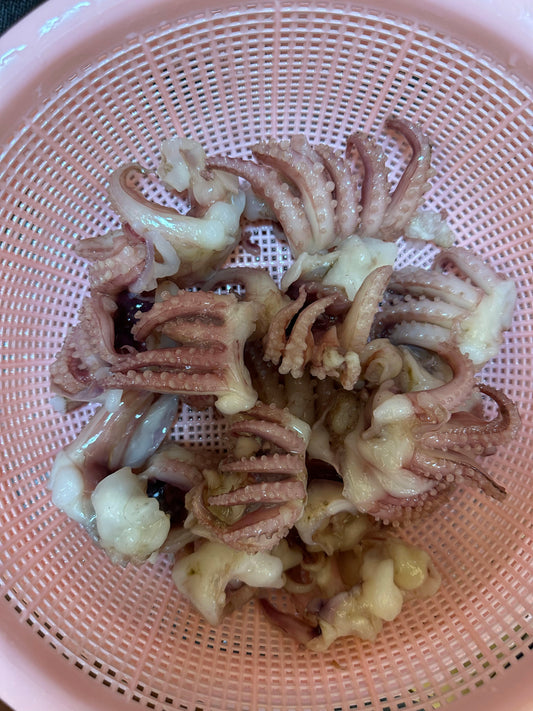 Frozen Baby Squid Tentacle