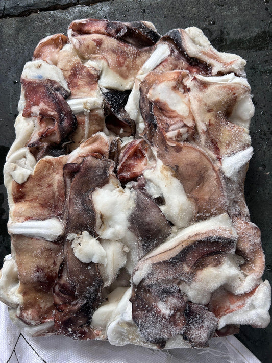 Frozen Squid Neck