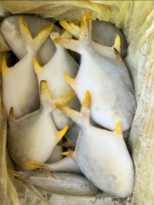 Frozen Golden Pompano 300/400g