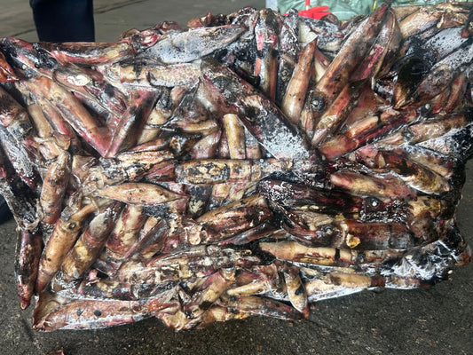 Frozen Black Squid 50/120g