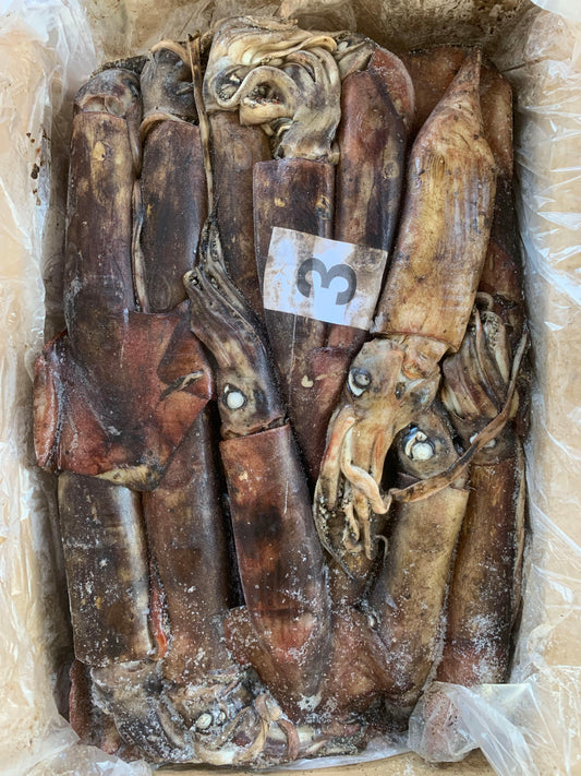 Frozen Indian Squid 300/500g