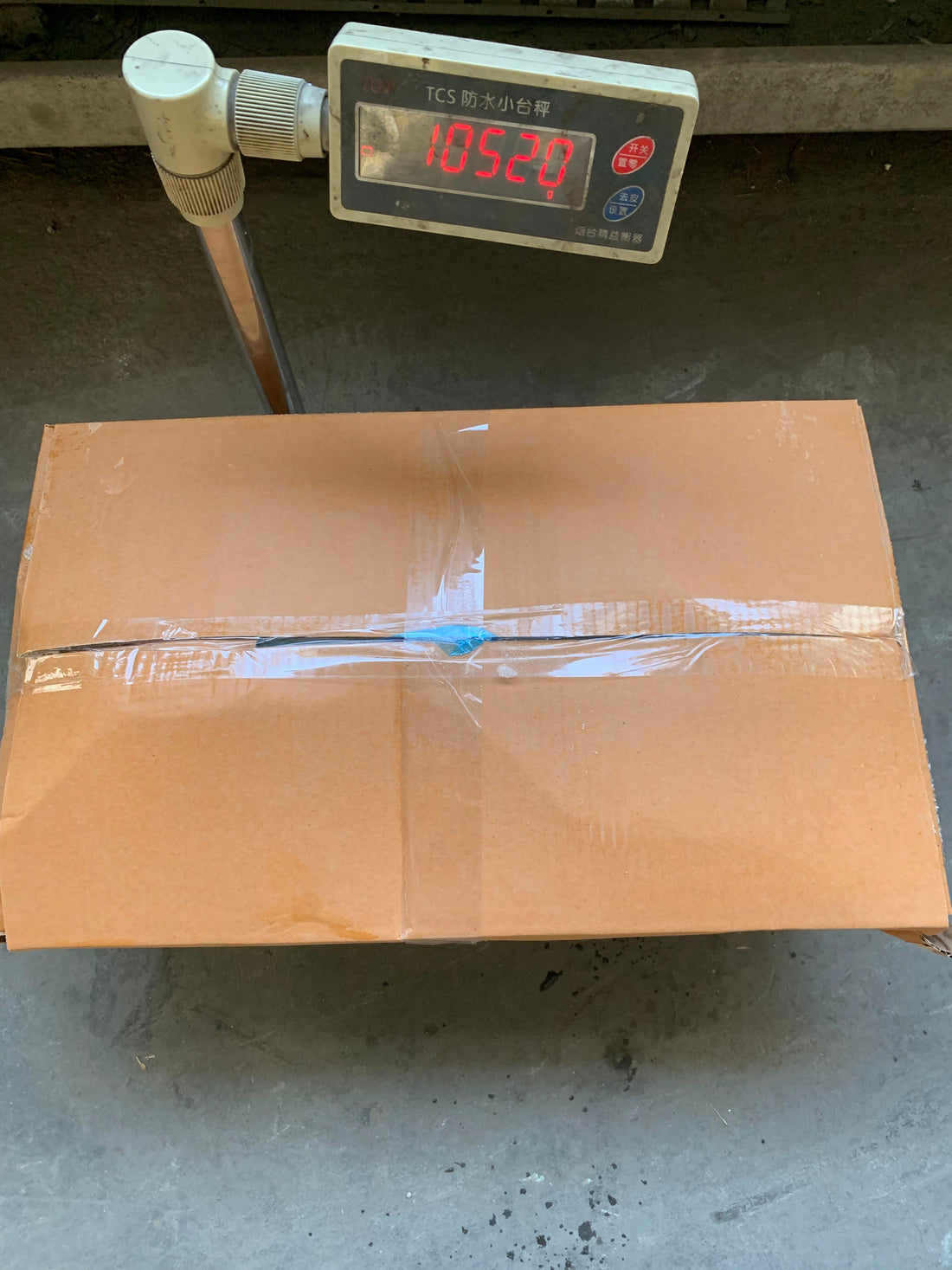 Frozen Grey Mullet Gutted 6