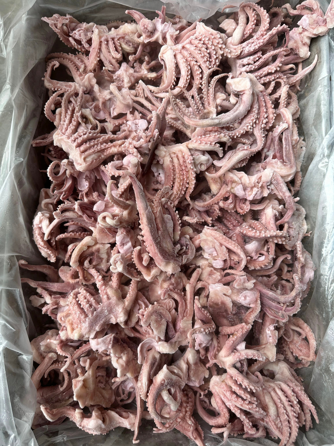 Frozen Baby Squid Tentacle