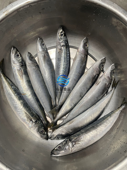 Frozen Layang Scad 60/80