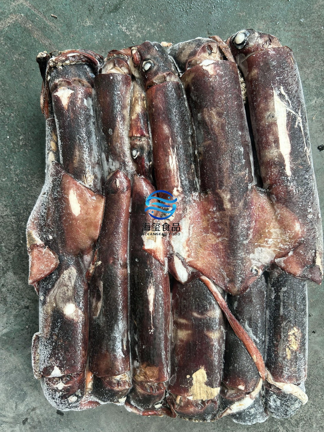 Sea Frozen Indian Squid 300/500