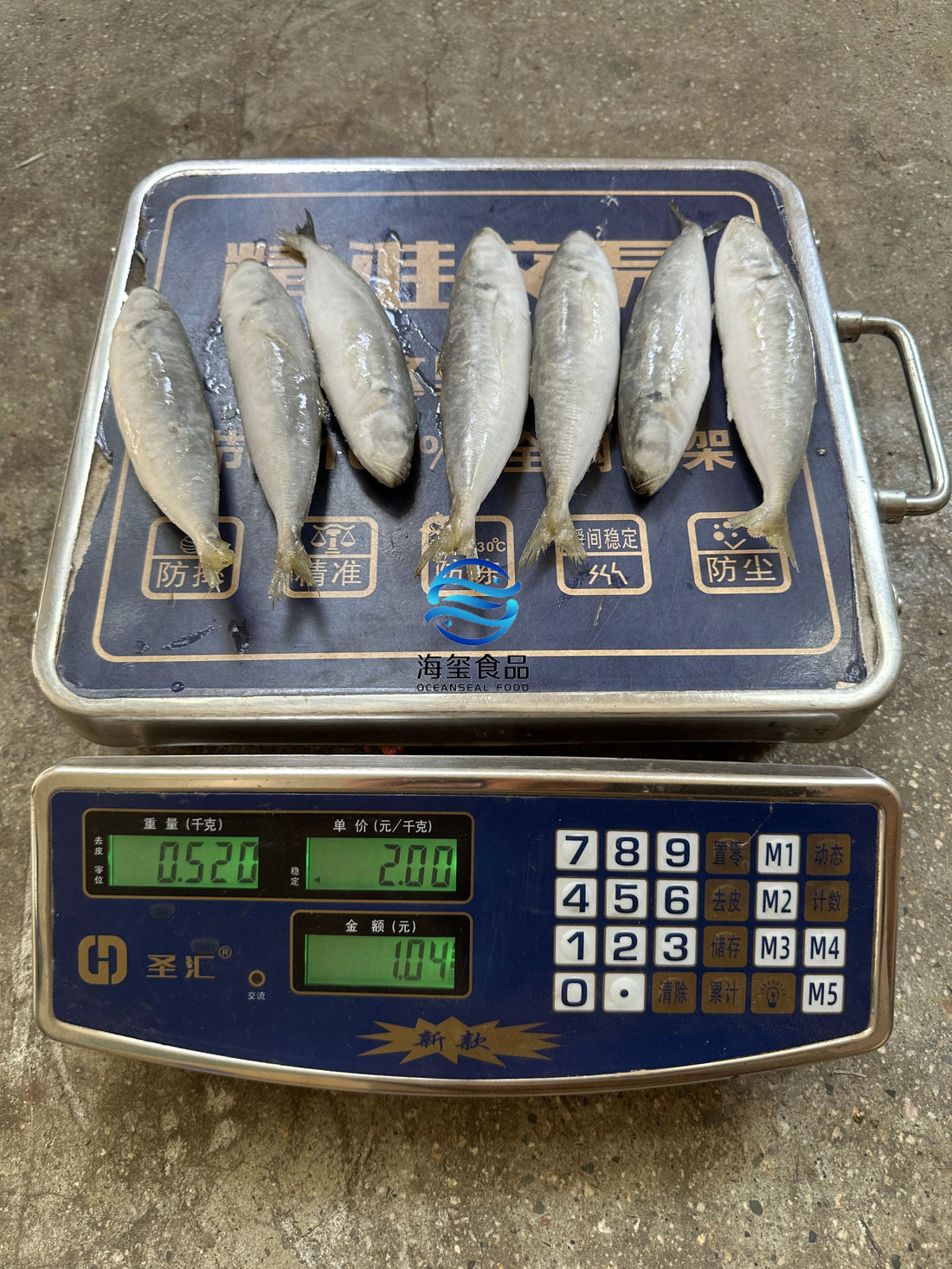 Frozen Round Scad 12/14
