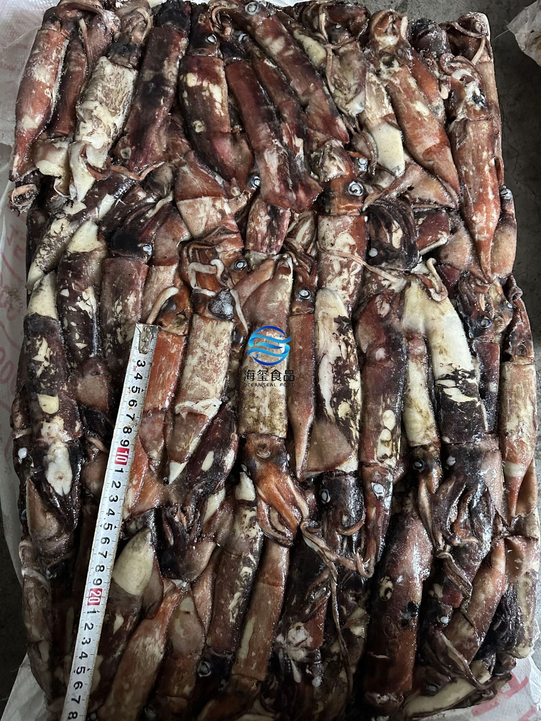 Sea Frozen Indian Ocean Squid 70/120g