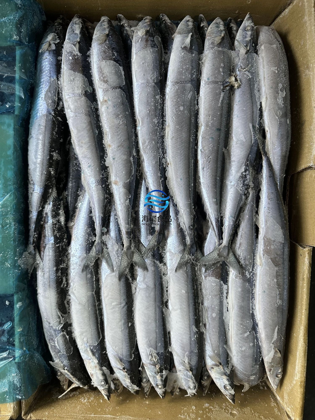 Frozen Saury Size 1