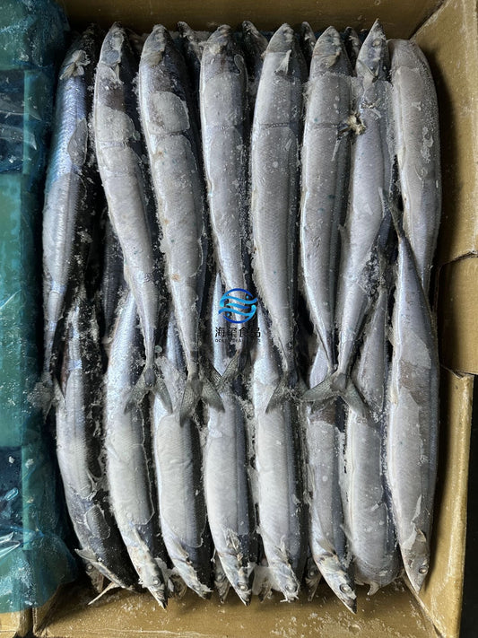 Frozen Saury Size 1