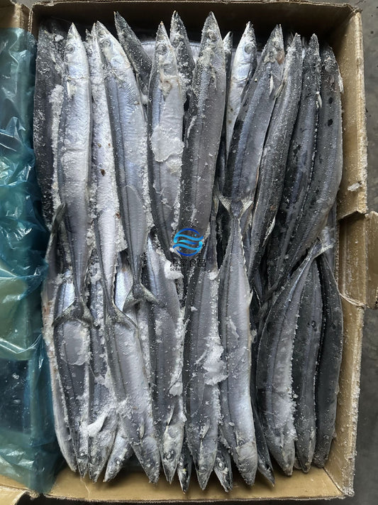 Frozen Saury Size 3