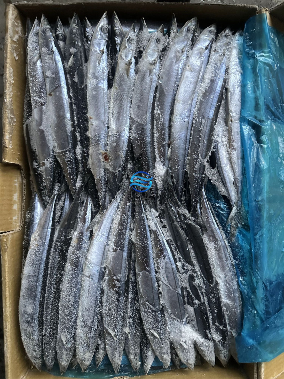 Frozen Saury Size 4