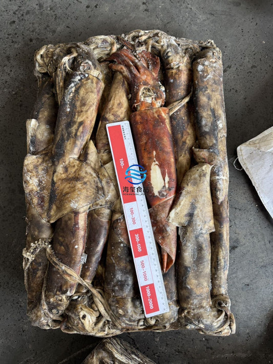 Sea Frozen Giant Squid 500/1000g