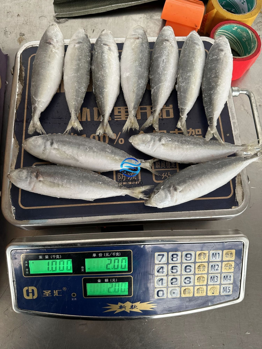 Frozen Round Scad 100/120