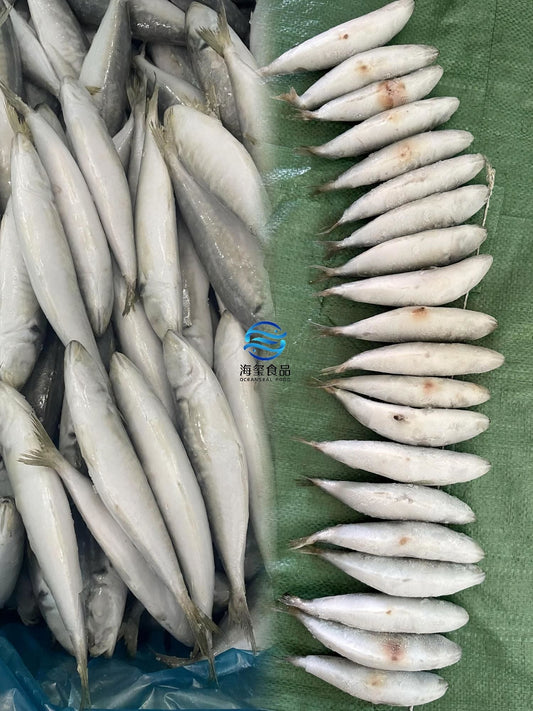 How We Grade Fish: Understanding AA, A, AB, and B