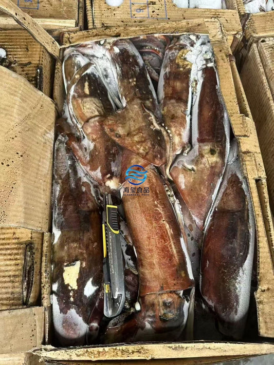 Indian Ocean Squid Holds Flat, But Fujian Exports Slide 28% YoY