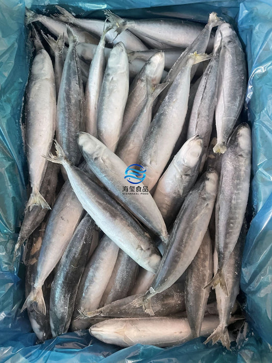 Frozen Layang Scad 60/80