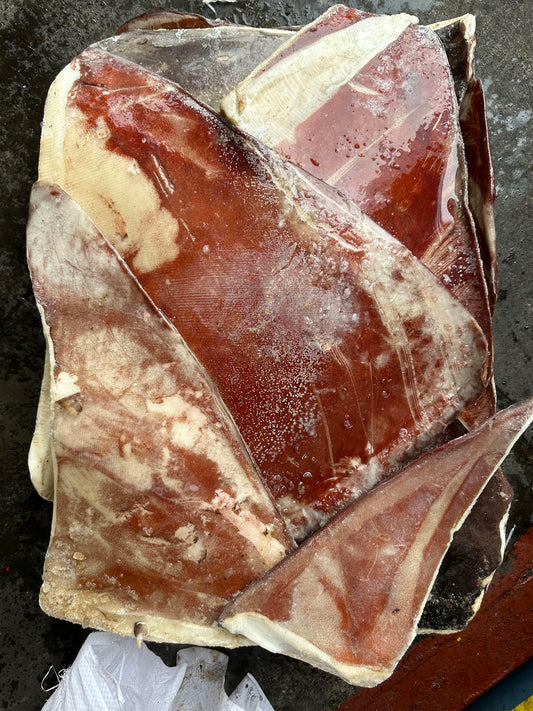 Frozen Giant Squid Wing