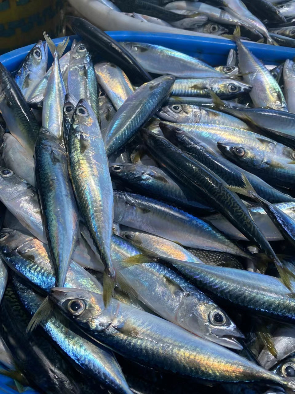 The Benefits of Mackerel