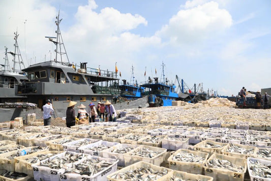 📊 23/10/2026 Seafood Market Update