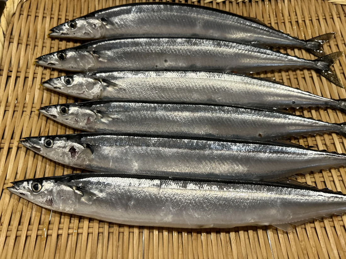 Frozen Saury