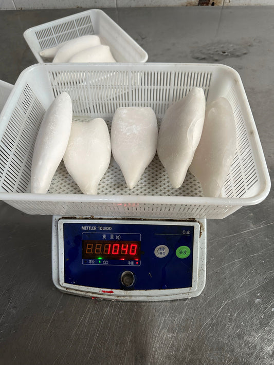 Frozen Squid Tube