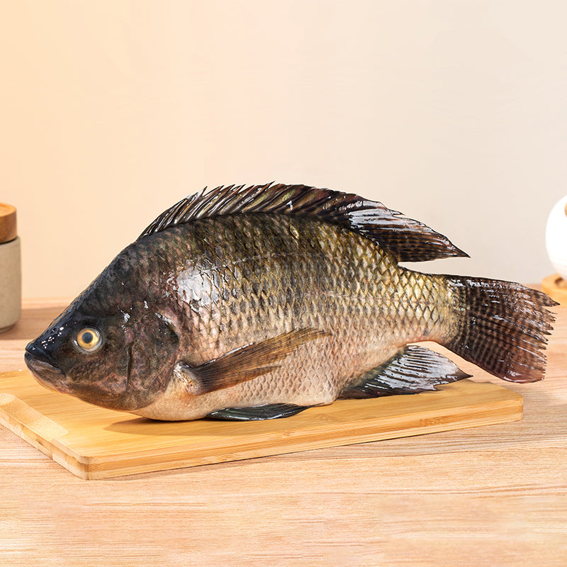 China Tilapia Export 2026: More Volume, Lower Prices, and a Shift to West Africa