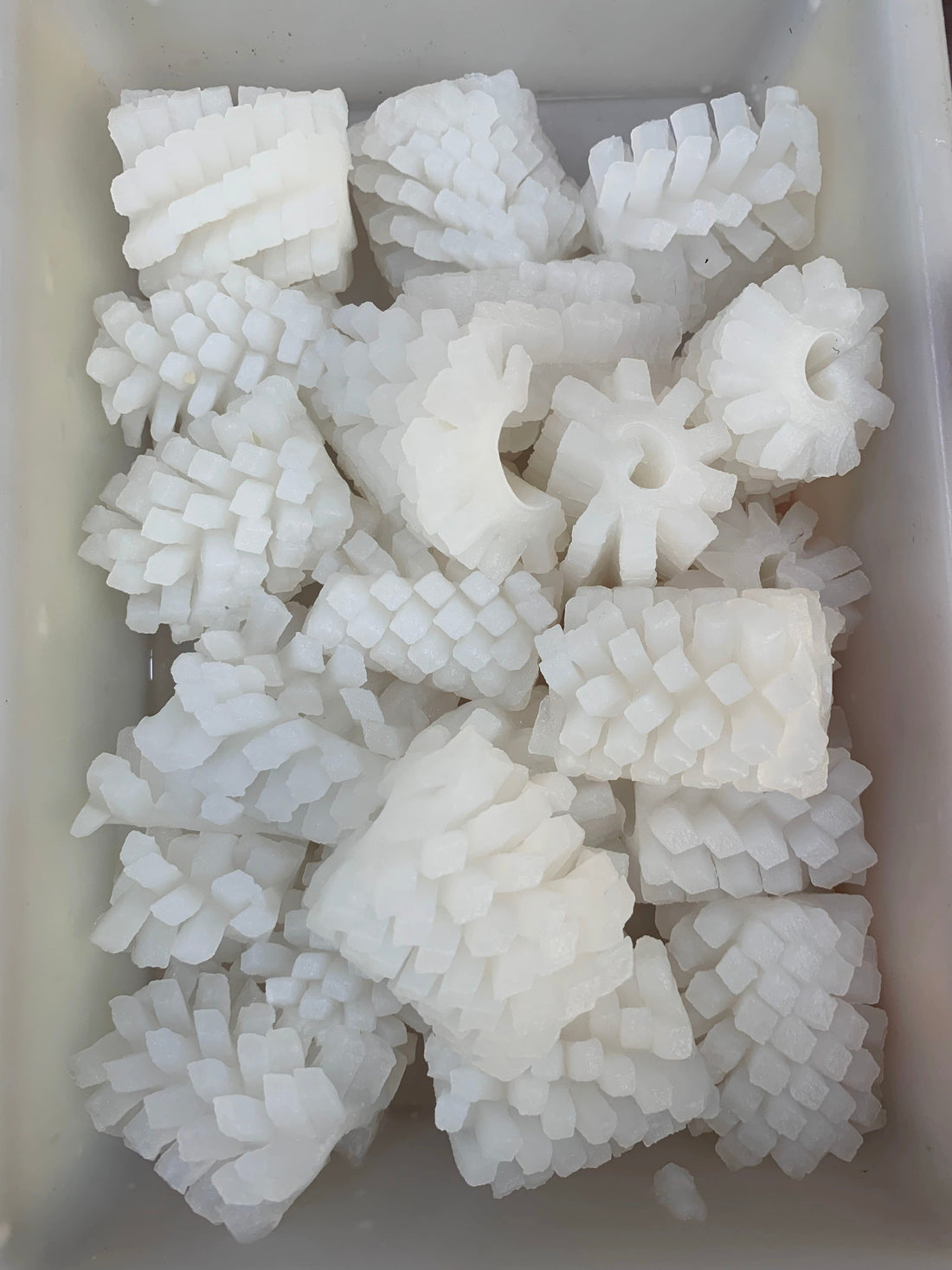 Frozen Squid Flower