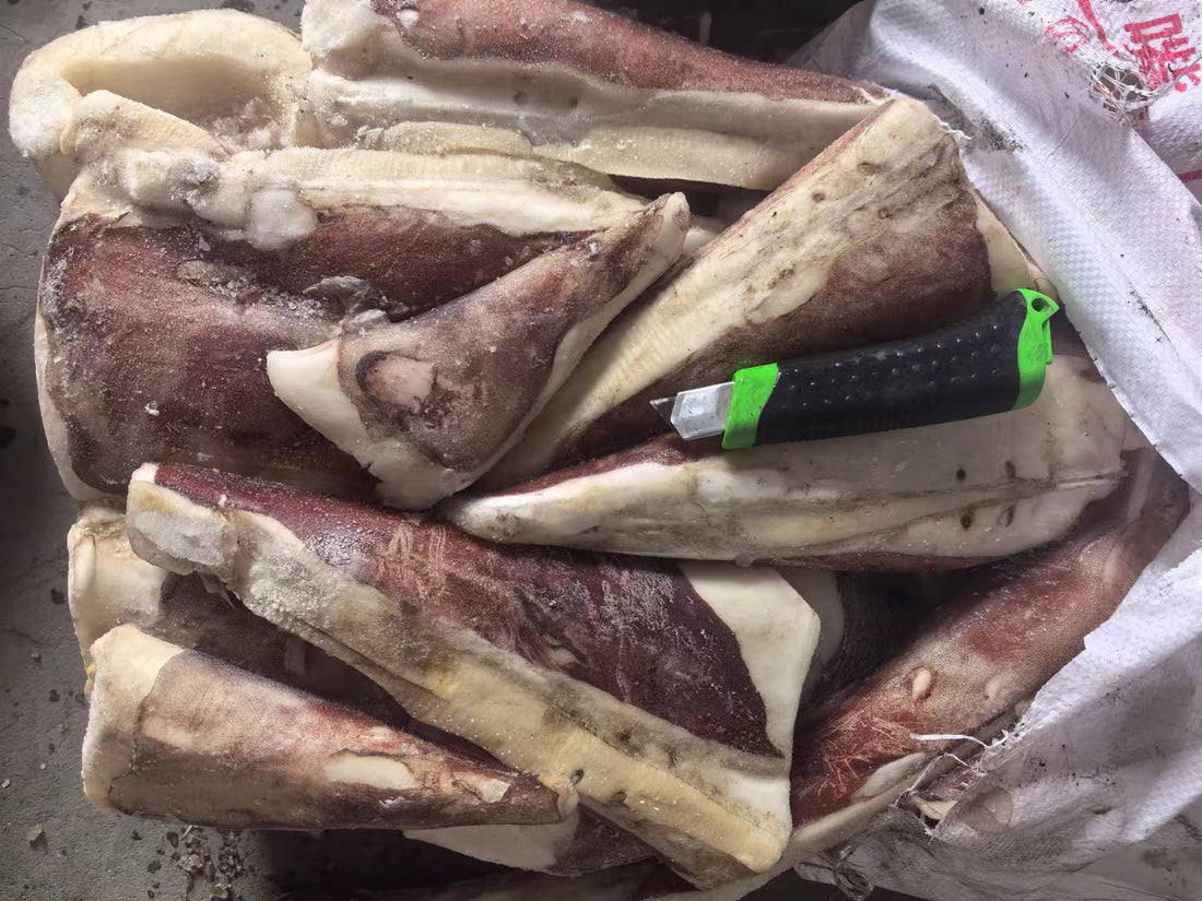 Frozen Squid Tail