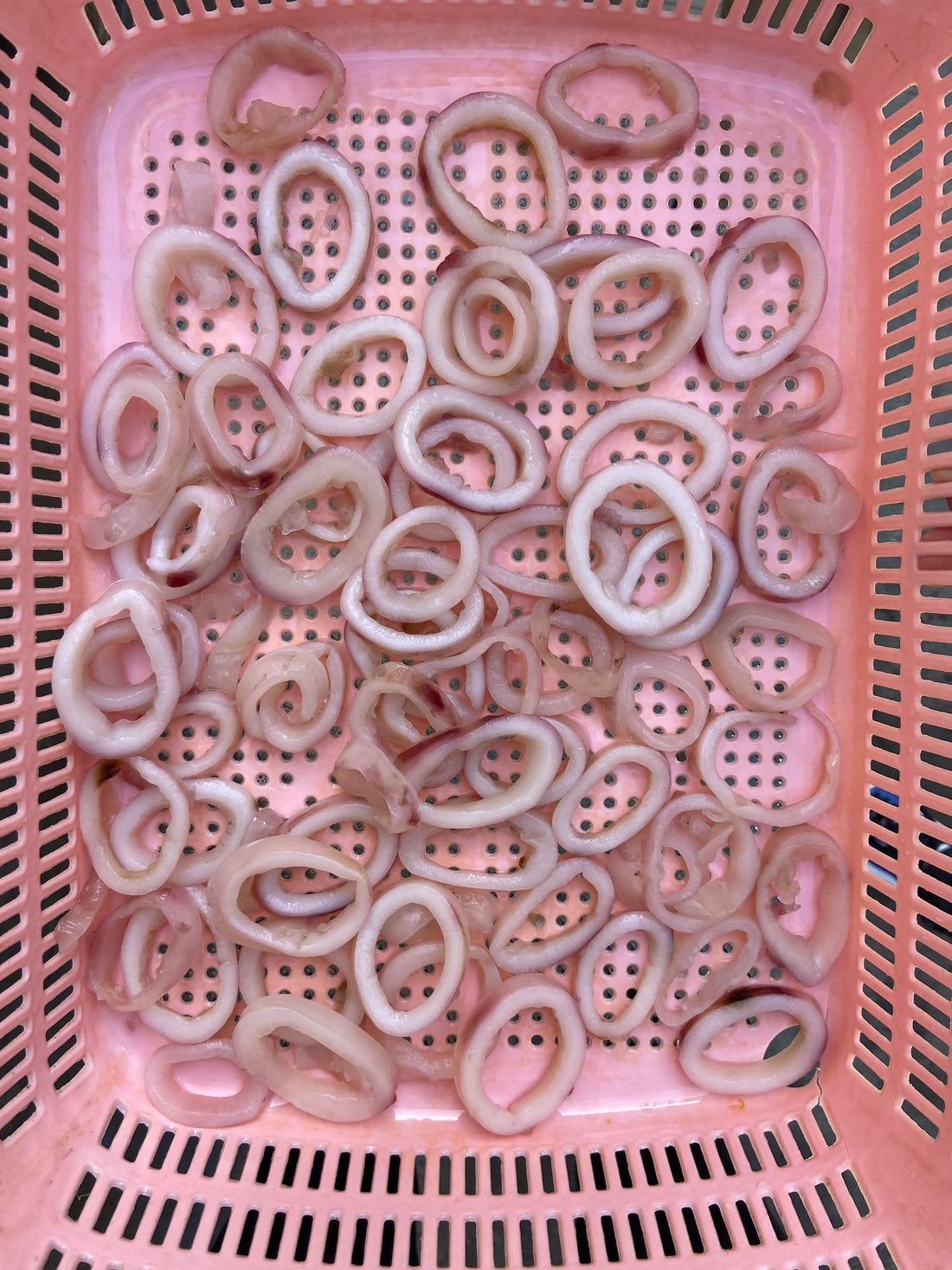 Frozen Squid Ring 55%glazing
