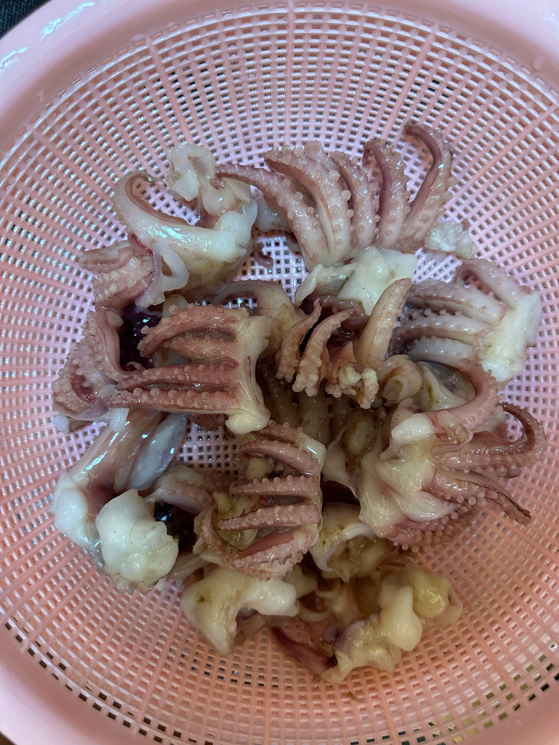 Frozen Baby Squid Tentacle