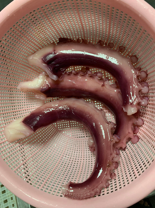 Frozen Squid Tentacle