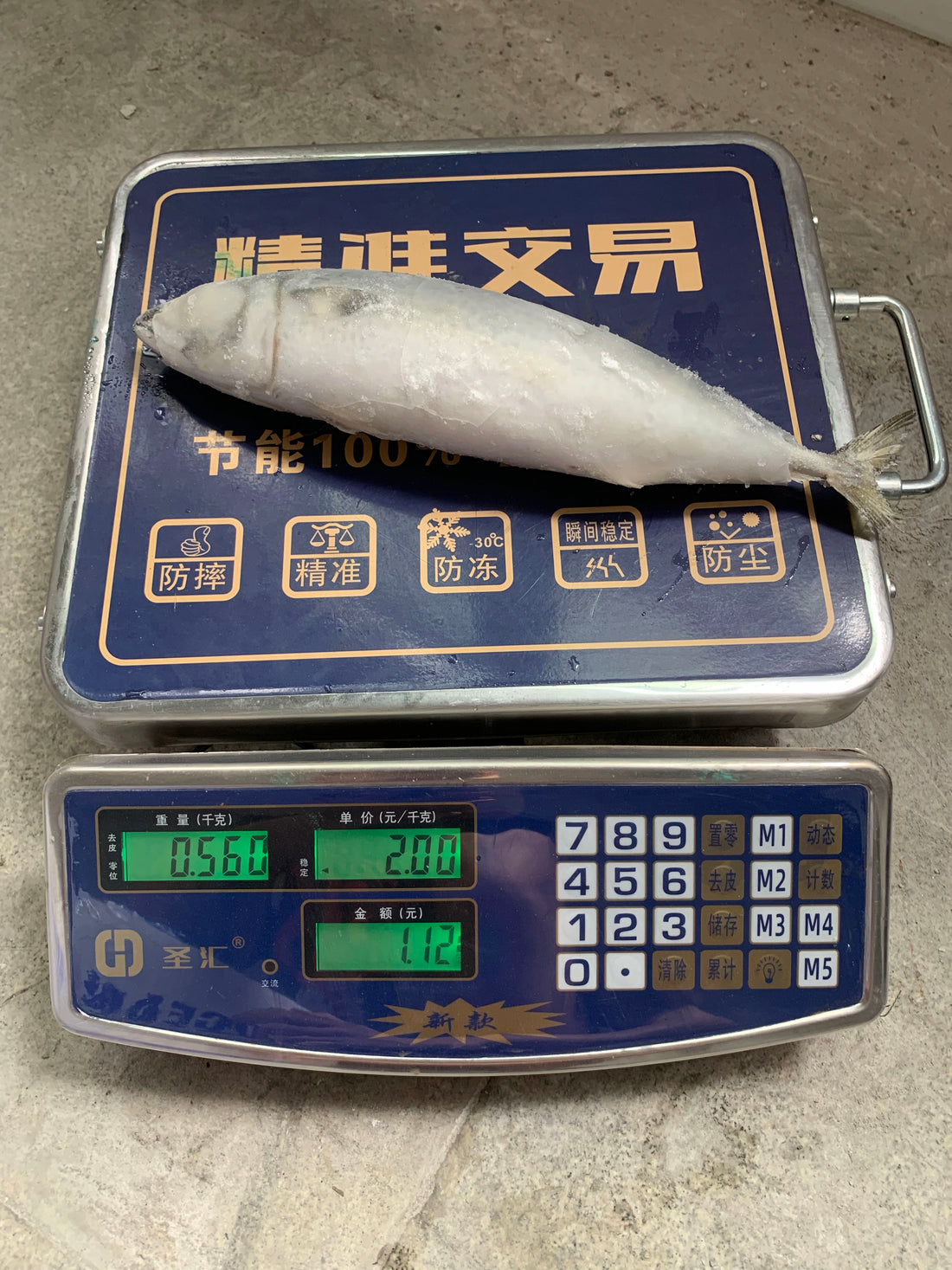 Frozen Pacific Mackerel 18/22