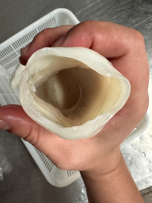 Frozen Squid Tube