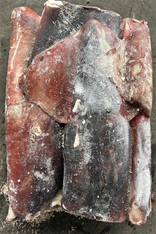 FROZEN GIANT SQUID TUBE - OCEANSEAL FOOD