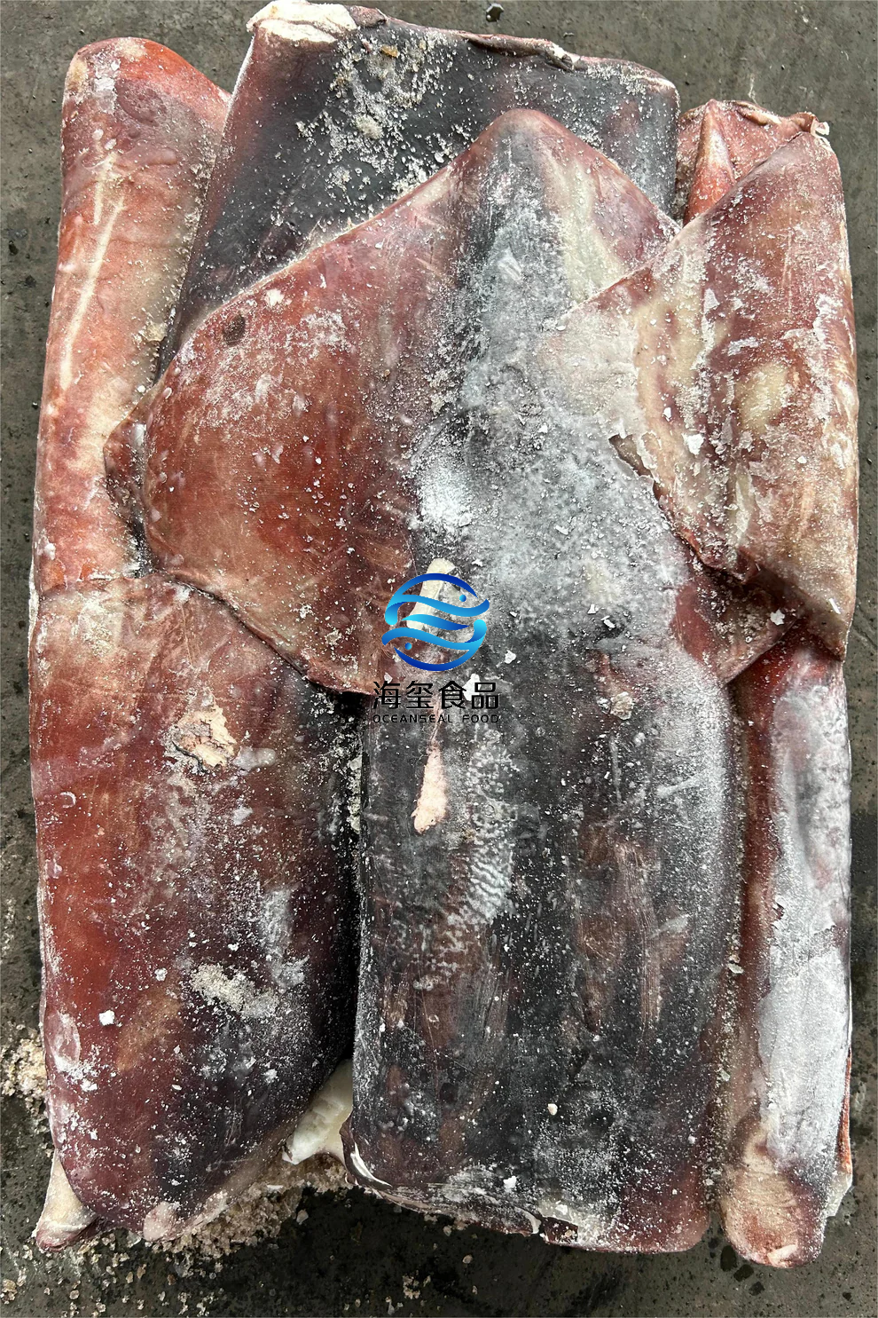 FROZEN GIANT SQUID TUBE