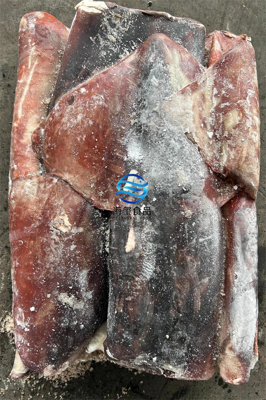 FROZEN GIANT SQUID TUBE