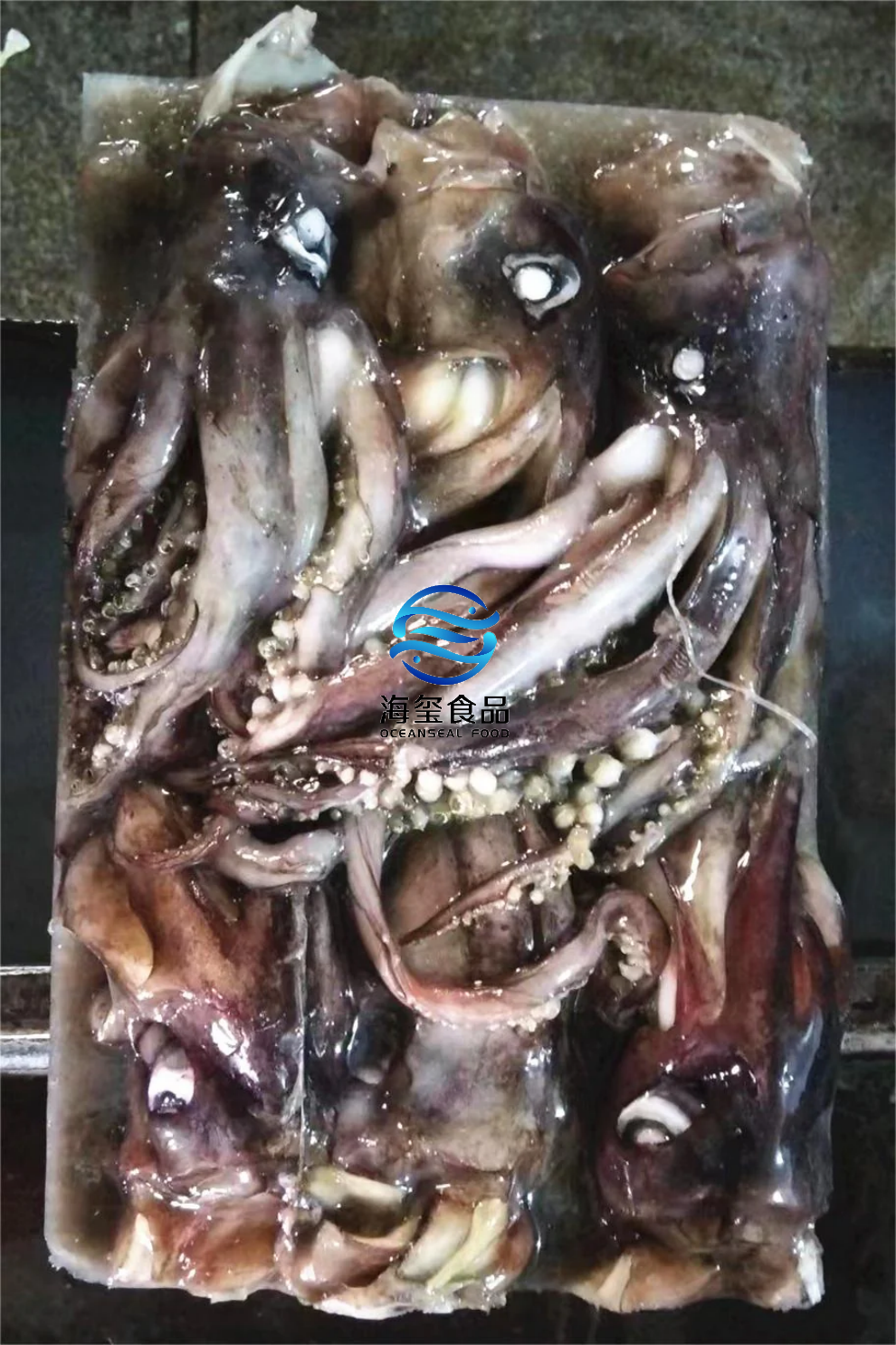 FROZEN INDIAN SQUID TENTACLE