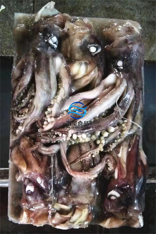 FROZEN INDIAN SQUID TENTACLE