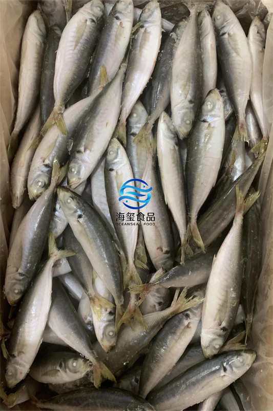 FROZEN ROUND SCAD