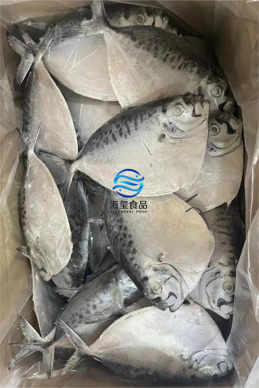 FROZEN MOON FISH