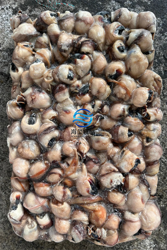 FROZEN SQUID BEAK